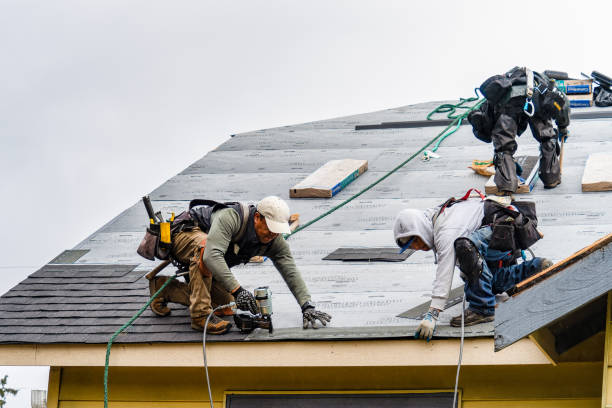 Professional Storm Damage Roof Repair technician working in Hawthorne, FL